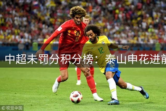 中超未罚分积分榜：泰山申花进前3，国安第5，海港距降级区仅4分